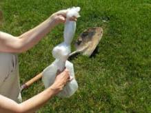 person ties a knot in a plastic bag to seal it