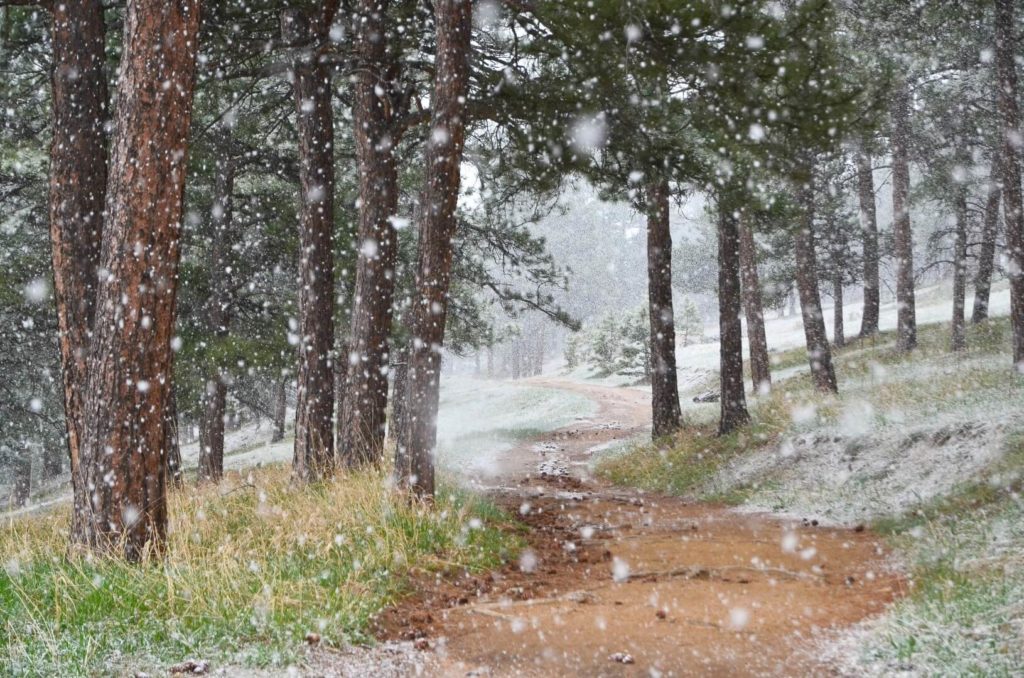 Spring Snow by Michael Lohr