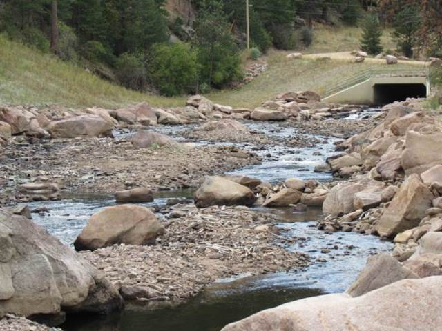 North St. Vrain Creek Recovery - Before Photo 1
