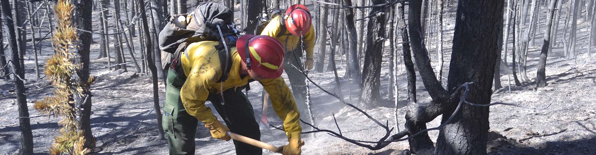 Firefighters help create a containment line in Cold Springs Fire