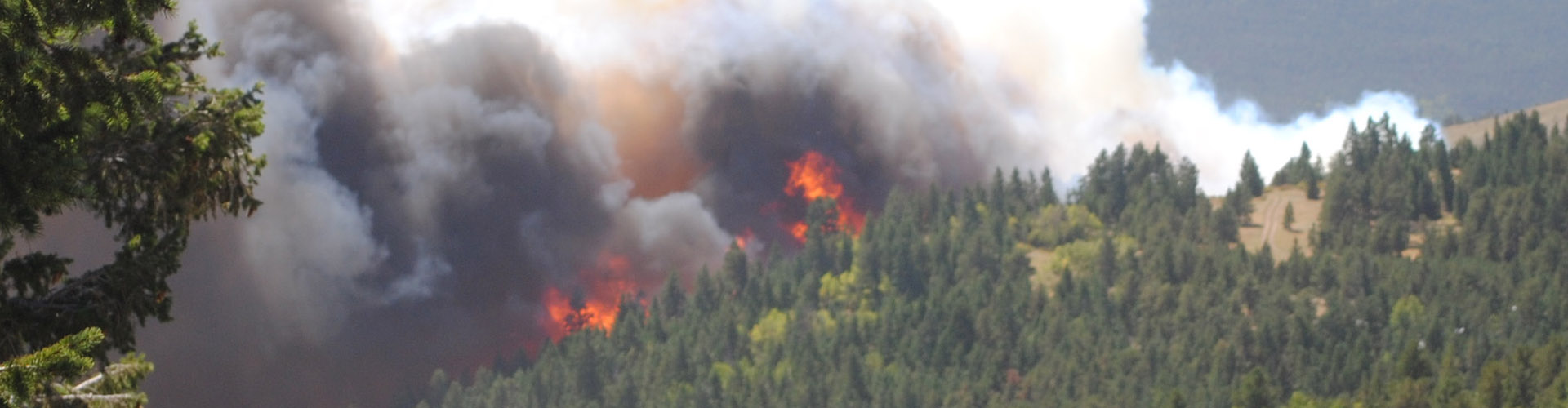 Wildland fire burning in Boulder County foothills