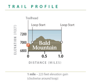 Bald Mountain Trail Profile