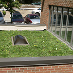 Green roof installed at Public Health