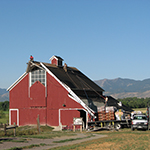 Rehabilitation of red barn