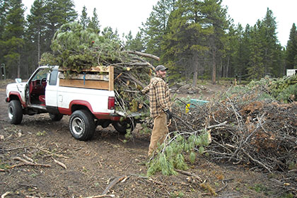 Boulder County Community Forestry Sort Yards open for the 2024 season in May