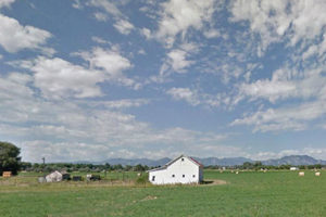 View of white barn at Mayhoffer Farm