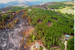 Aerial view of wildfire-scorched land in Sunshine Canyon, Colorado