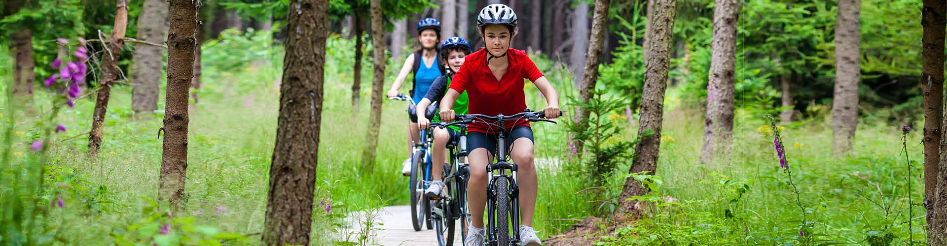 Happy active family riding bikes in nature forest