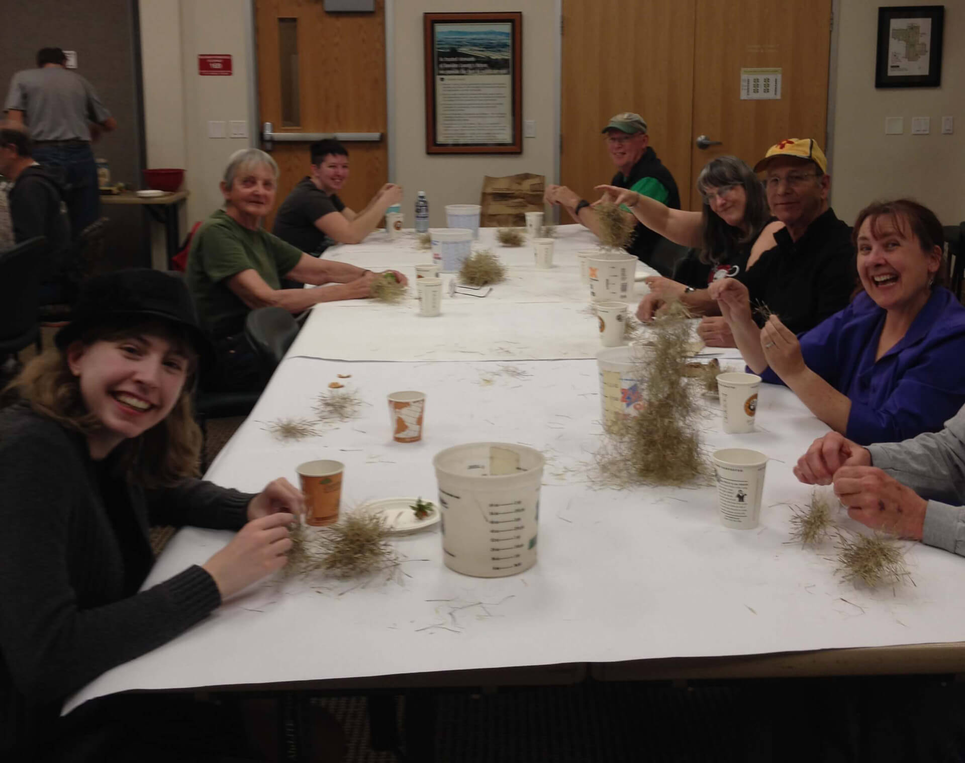 Volunteers cleaning and preparing native seeds