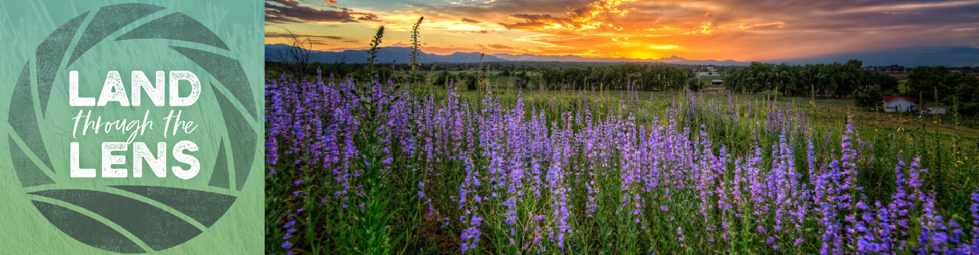 Land Through The Lens
