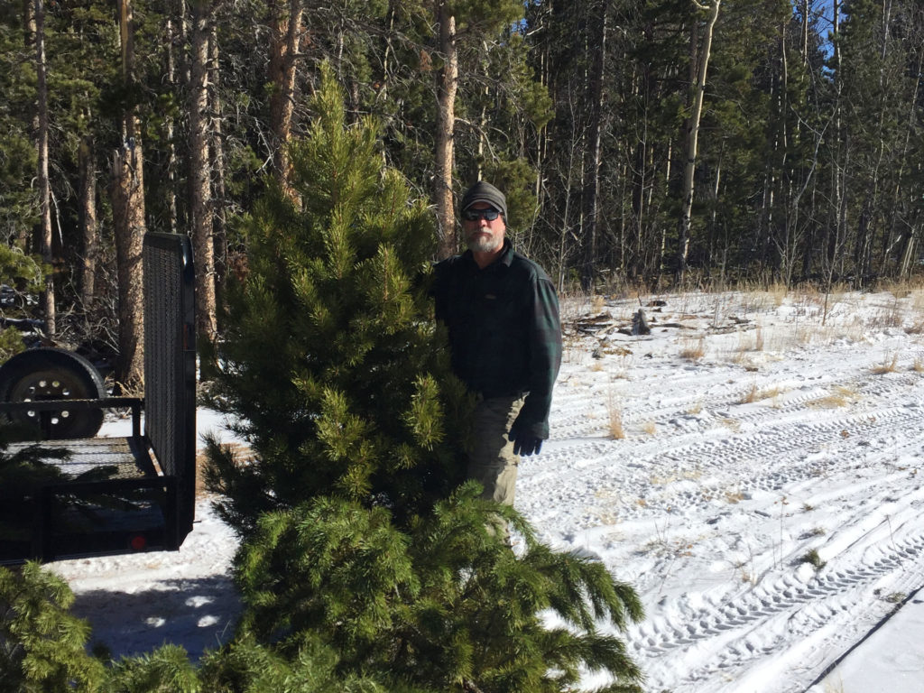 Christmas Tree Permits Boulder County