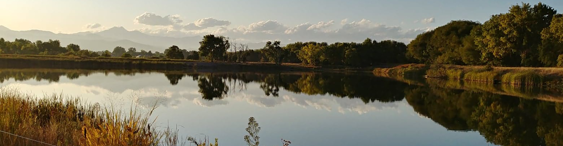 landscape shot at Golden Ponds