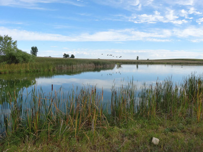 Stearns Lake at Carolyn Holmberg Preserve