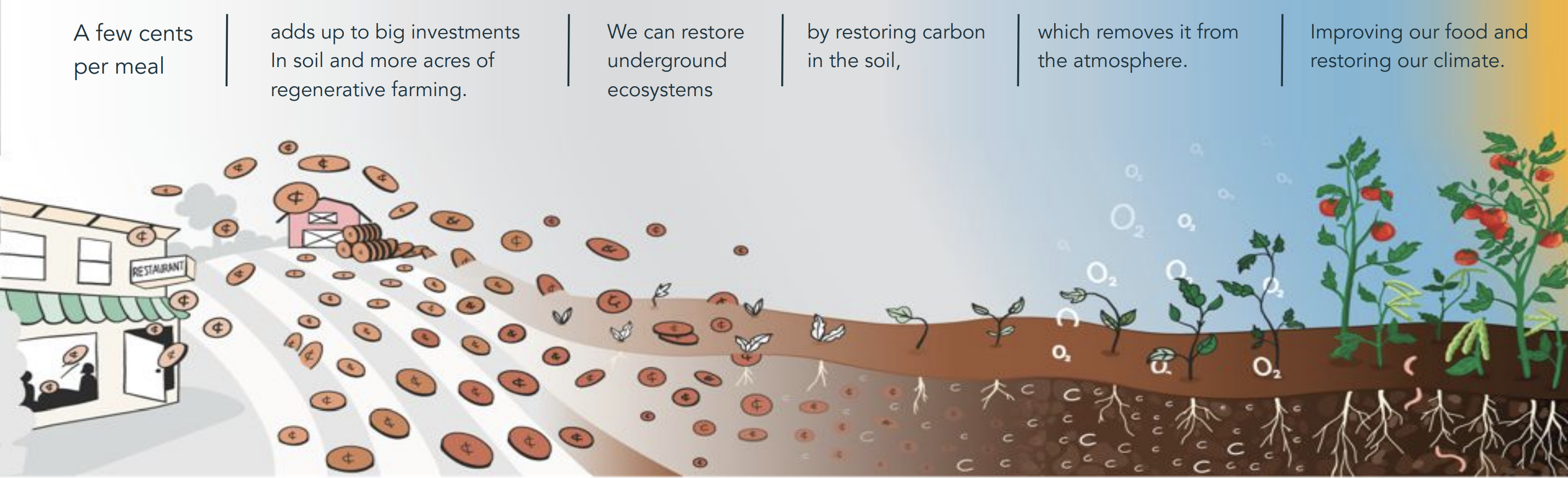 soil-regeneration-infographic