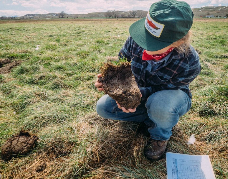 mad-agriculture-restore-colorado