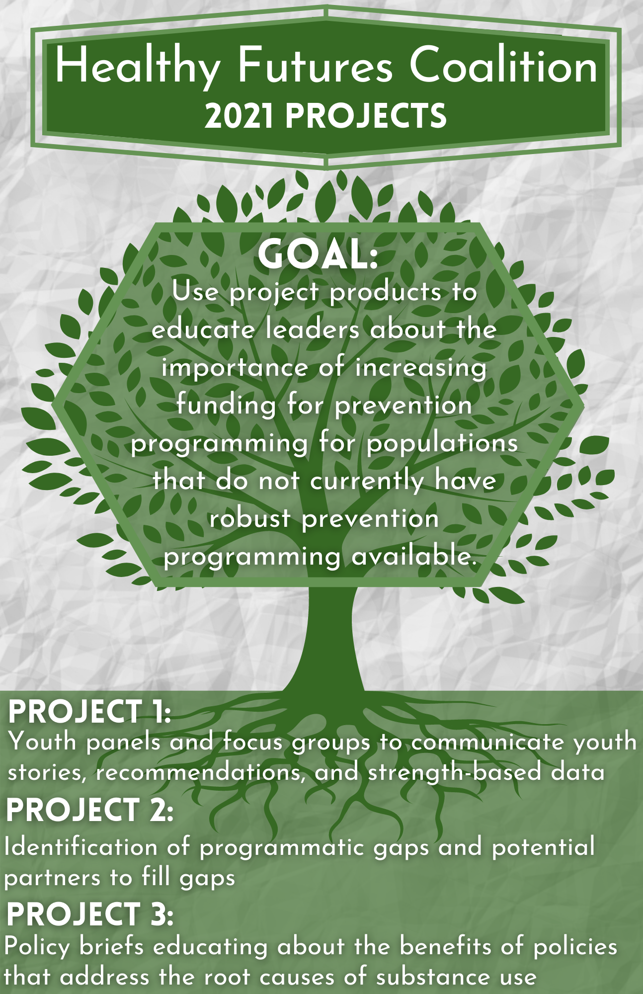 Healthy Futures Coalition: 2021 Projects - Goal: Use project products to educate leaders about the importance of increasing funding for prevention programming for populations that do not currently have robust prevention programming available. PROJECT 1: Youth panels and focus groups to communicate youth stories, recommendations, and strength-based data; PROJECT 2: Identification of programmatic gaps and potential partners to fill gaps; PROJECT 3: Policy briefs educating about the benefits of policies that address the root causes of substance use