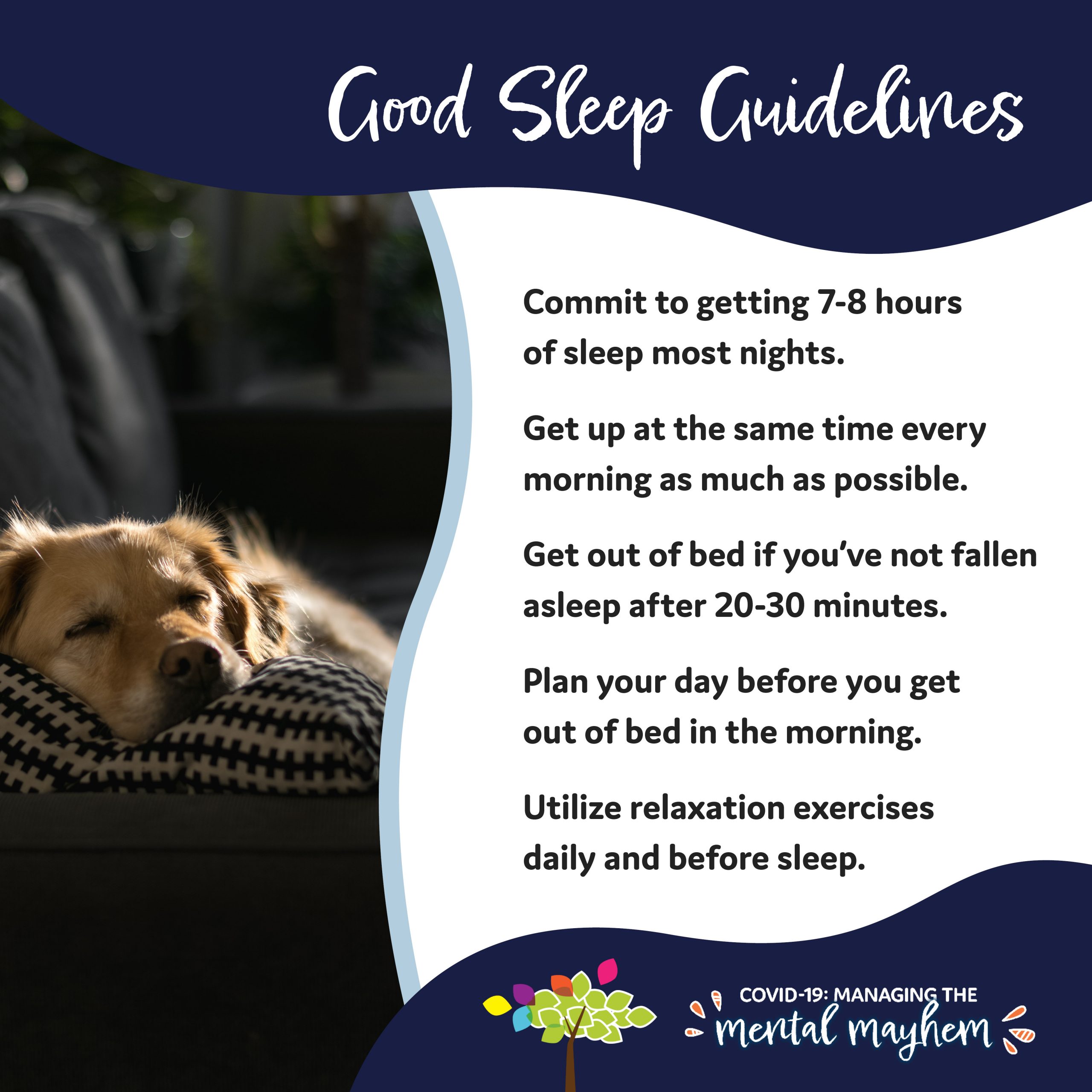 Good Sleep Guidelines