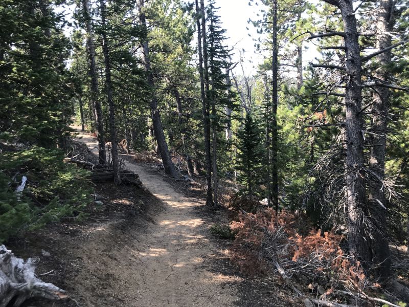 Trail on Tolland Ranch