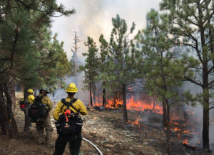 Firefighters monitor a prescribed burn at Heil Valley Ranch south of Lyons in 2020.