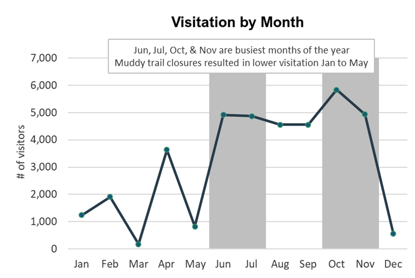 Line graph showing June, July, and October were the busiest months