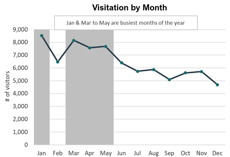 Line graph showing January and March were the busiest month