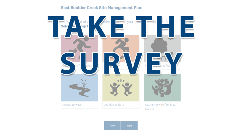 East Boulder Creek Site Survey