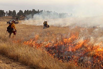 Nov. 29 Open House for Boulder County Wildfire Mitigation and Emergency Services Ballot Measures