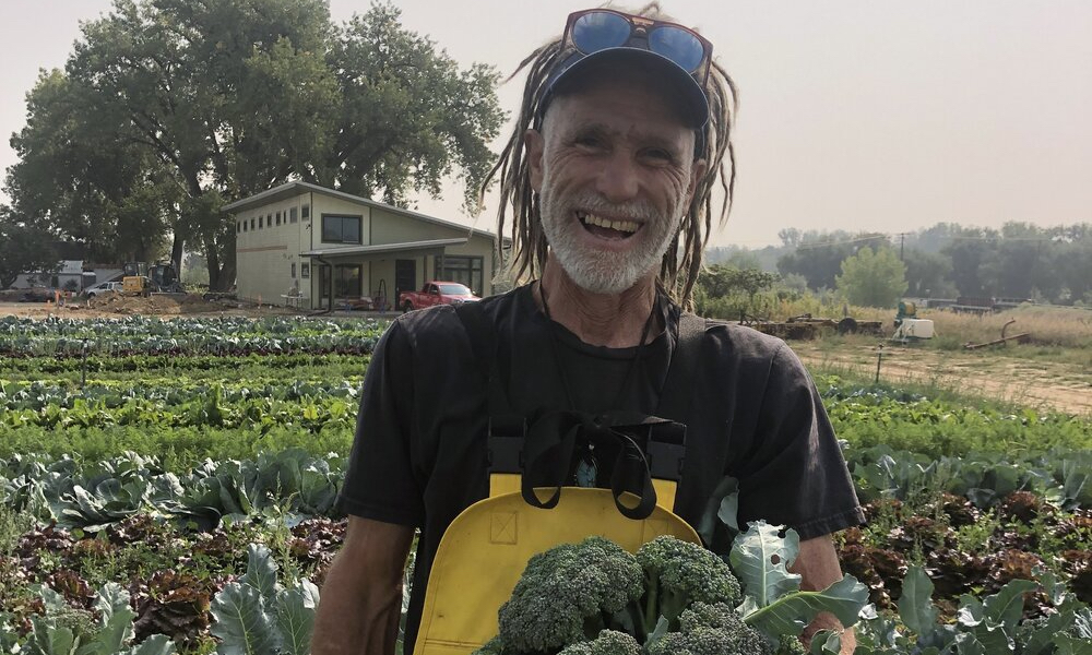 A farmer in a vegetable field holding broccoli