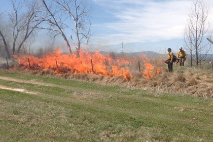 Irrigation ditch burning begins March 5