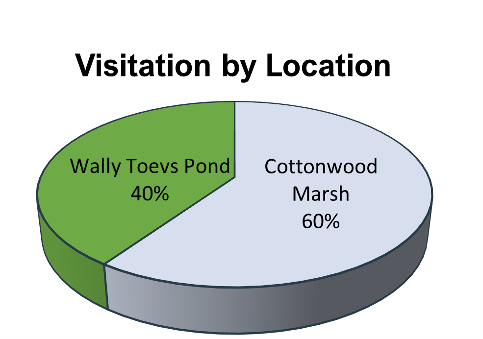 Bar graph showing the Cottonwood March was the most visited location