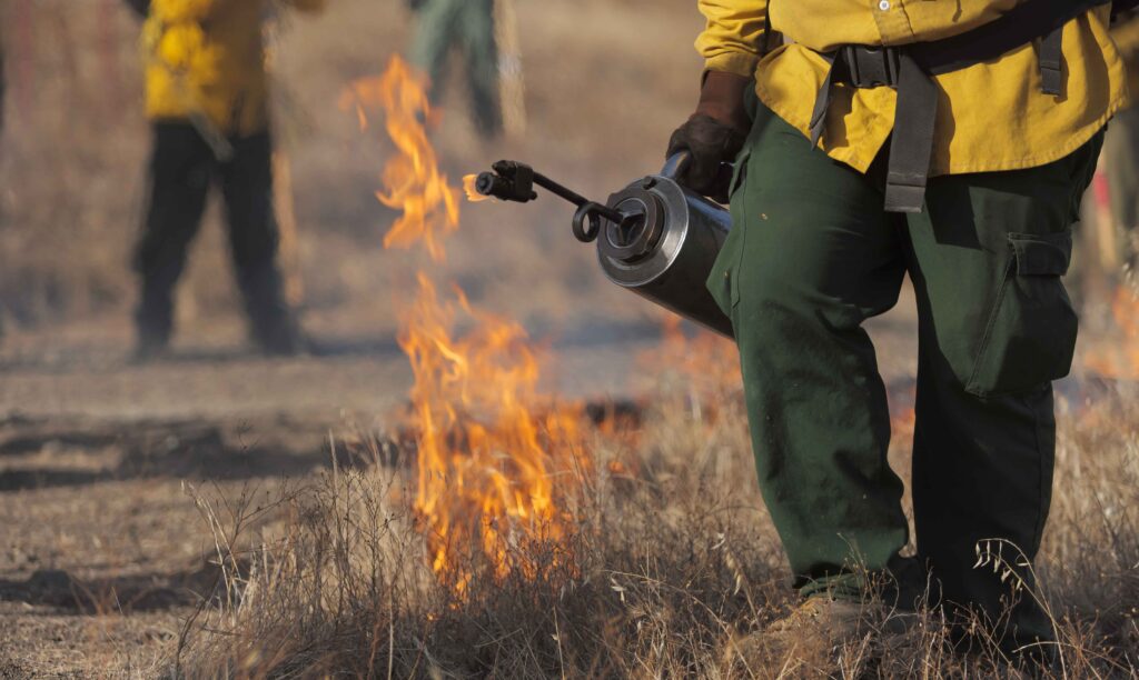Image of firefighter using torch to create a controlled burn for wildfire mitigation