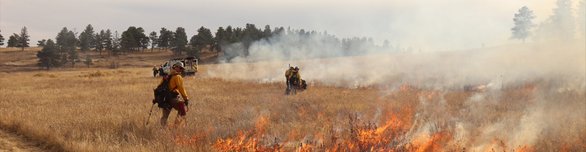 Photo of fireman performing a prescribed burn in a field for purposes of wildfire mitigation.