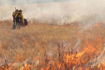 Boulder County Launches New Wildfire Mitigation Grant Program