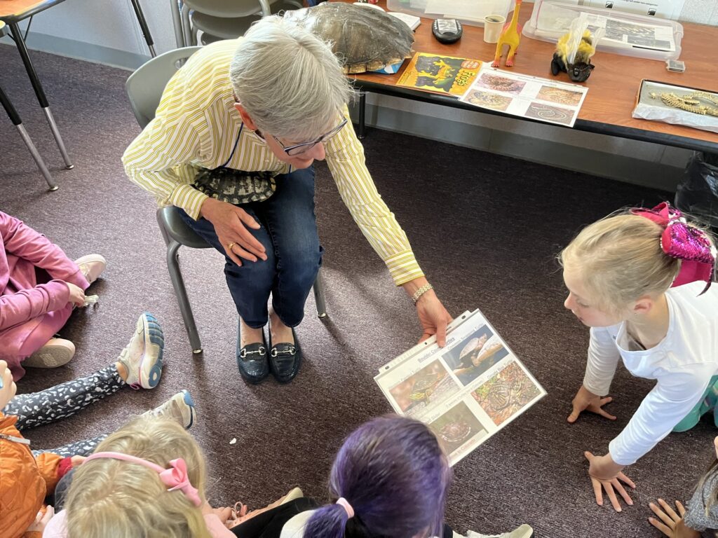 A teacher shows kids photos of turtles in a classroom setting