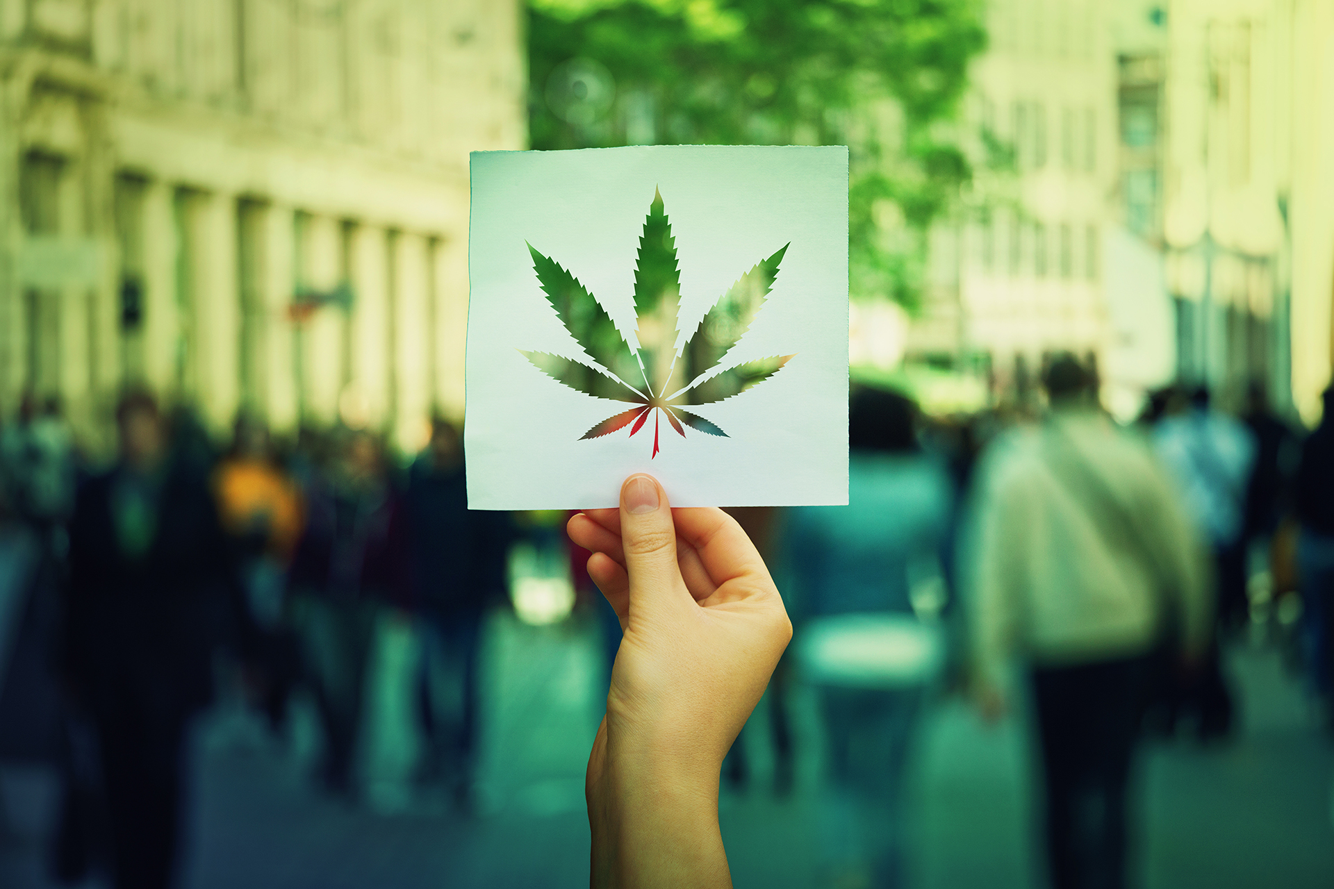 A hand holding up a cut-out of a marijuana leaf with building and other people walking in the background.