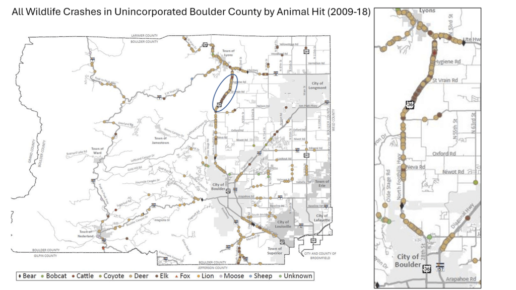 Map showing all wildlife crashes in unincorporated Boulder County by Animal Hit (2009-18)