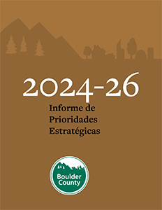 2024SPreport_Spanish