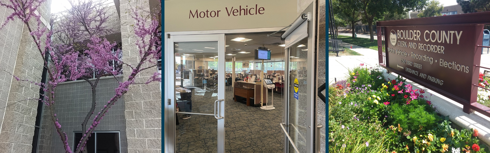 Entry to 3 motor vehicle offices