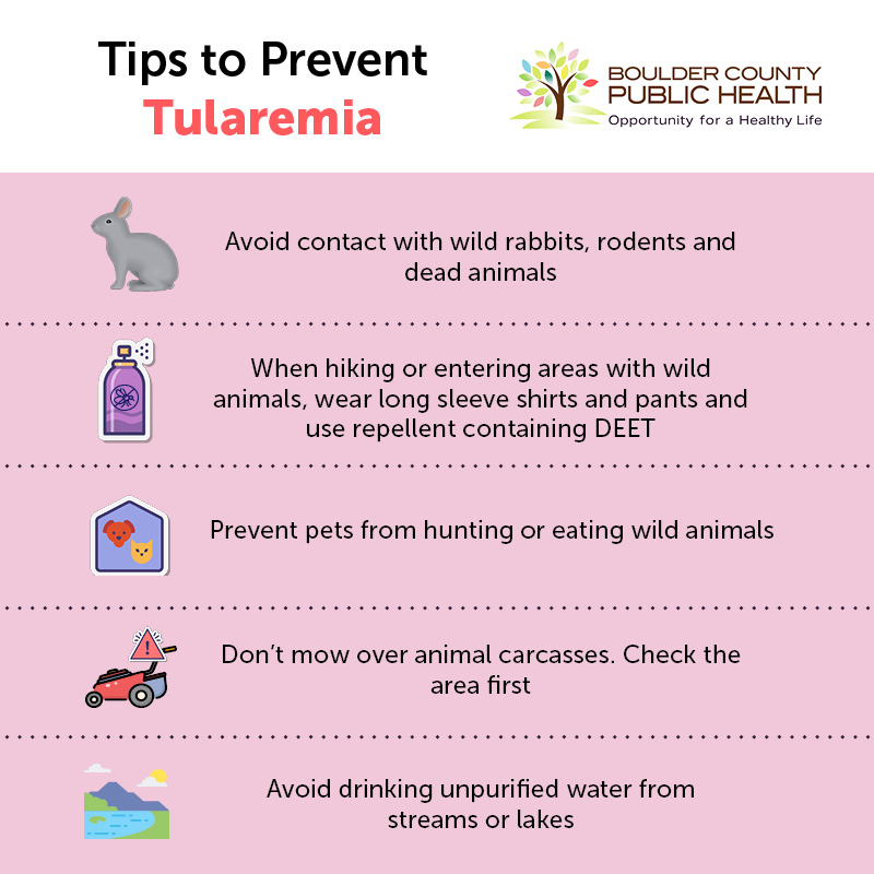 tips to avoid tularemia When hiking or entering areas with wild animals, wear long sleeve shirts and pants and use repellent containing DEET Prevent pets from hunting or eating wild animals Don't mow over animal carcasses. Check the area first Avoid drinking unpurified water from streams or lakes