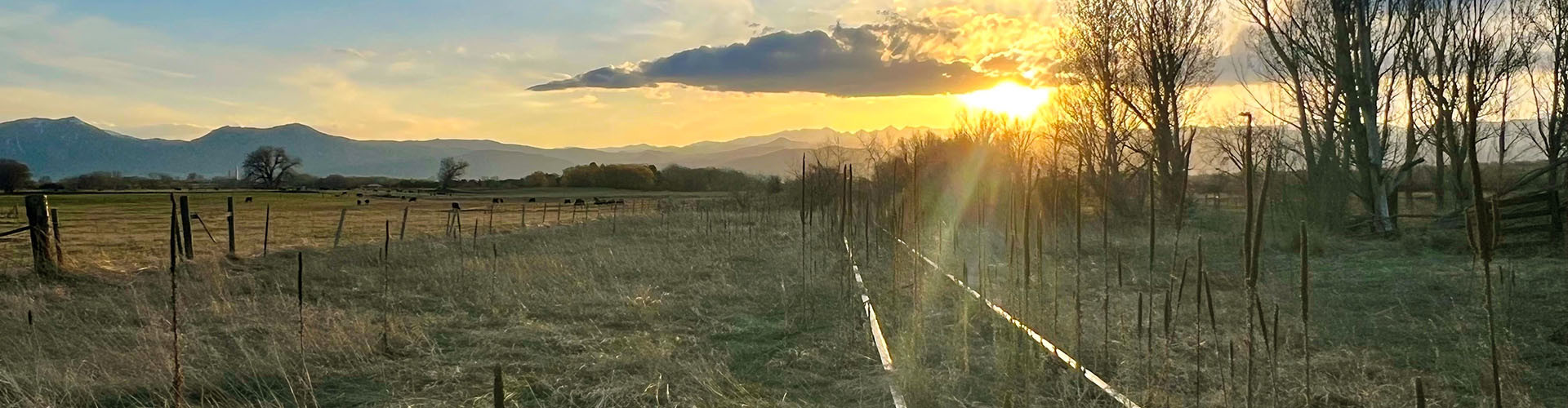 An old railroad line along the BERT Trail corridor in a plains setting with trees and grass and a fence looking west sunset