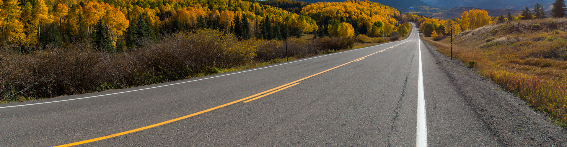 View of a Colorado highway with trees in fall color.