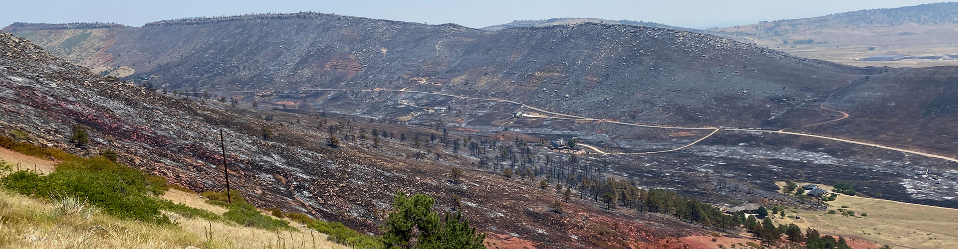 Wide landscape image showing a burned area of the Stone Canyon Fire showing burned trees, grass, shrubs and structures and red fire retardant north of Lyons on Friday, August 2, 2024.