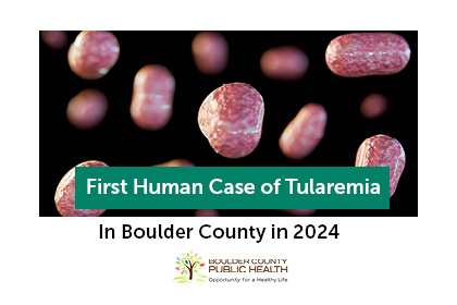 First Human Case of Tularemia Confirmed in Boulder County in 2024