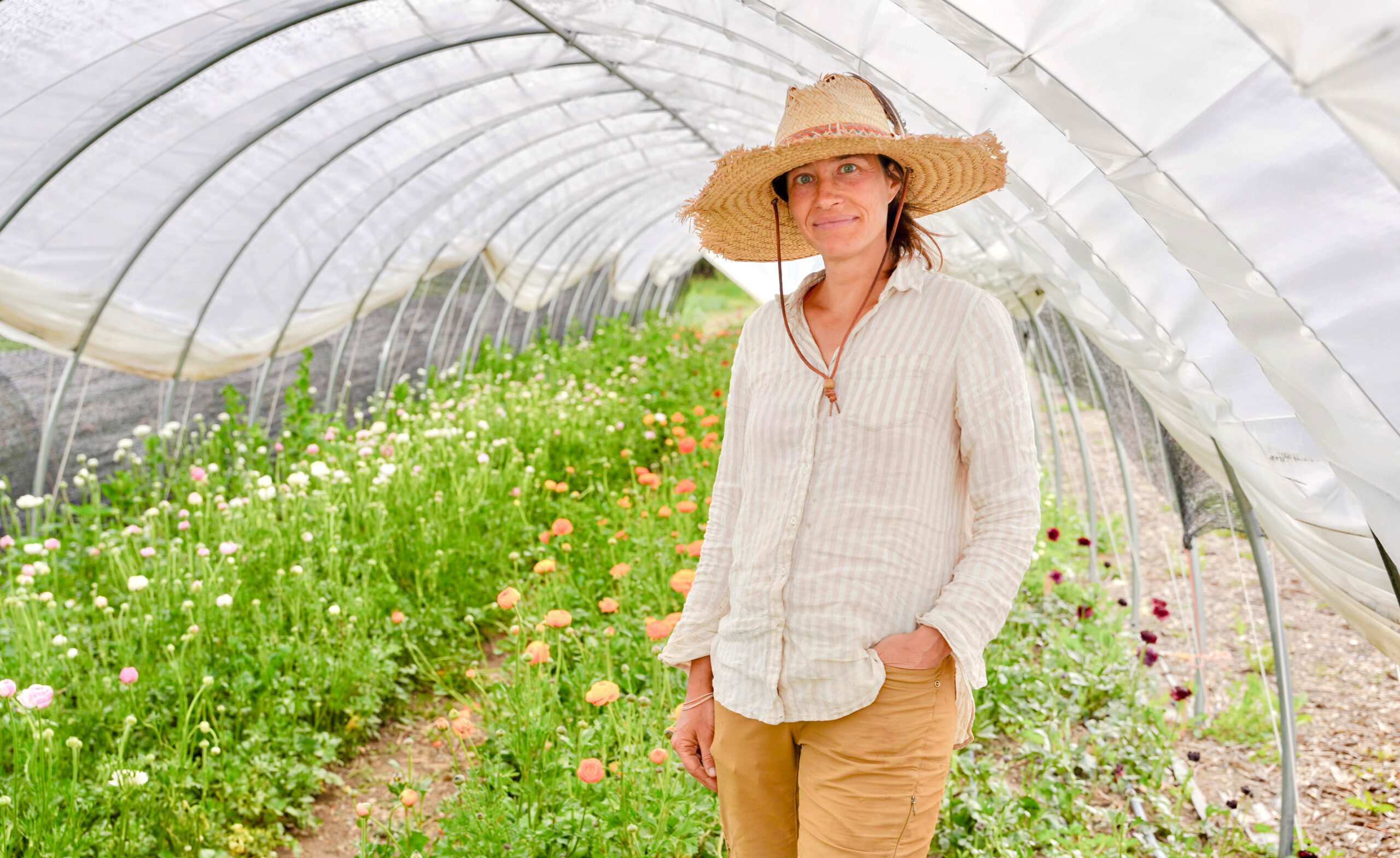 Helen Skiba, co-owner of Artemis Flower Farm in Longmont, Colorado, stands smiling in a covered growing structure. She wears a grey-and-white striped linen button-down shirt and a floppy straw sun hat. Behind her are three rows of blooming ranunculus flowers: pink-white on the left, bright orange in the center, and deep red on the right, trailing into the distance beneath the curved archway.