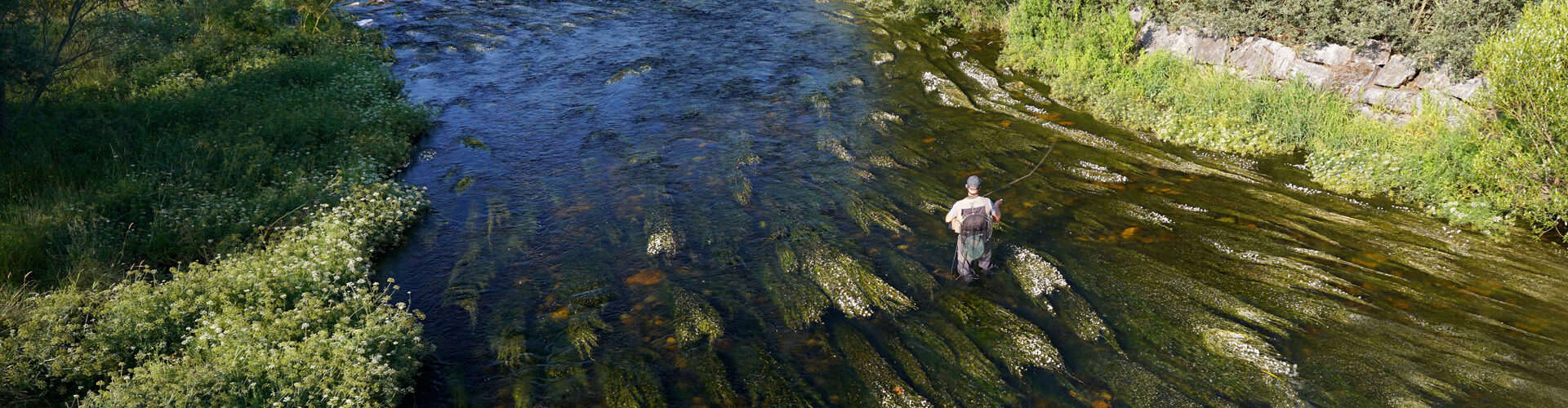 Clear clean water in a flowing stream with fly fisherman