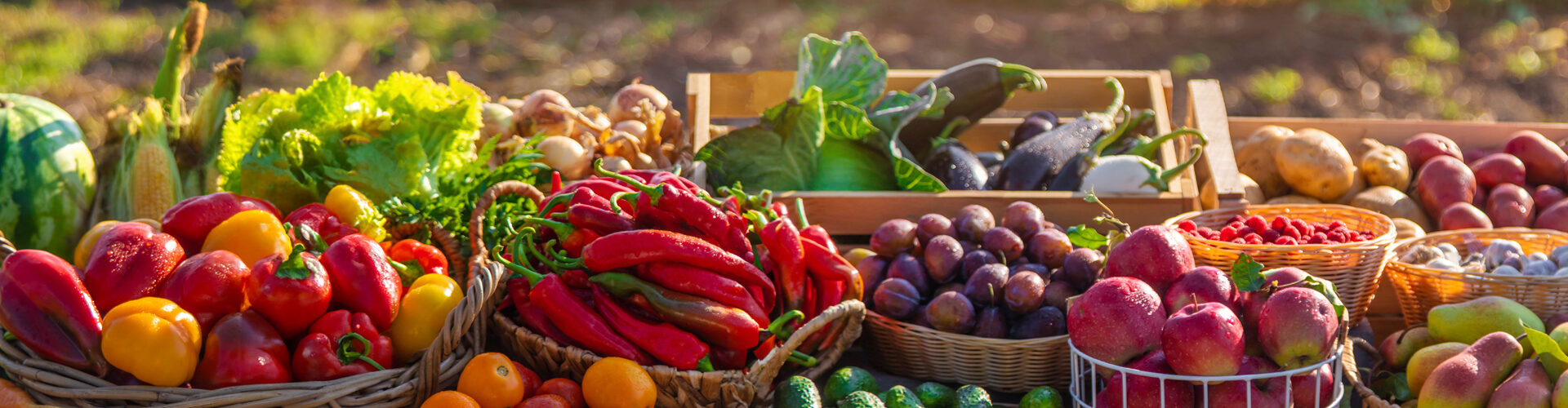 colorful vegetables at a farm stand