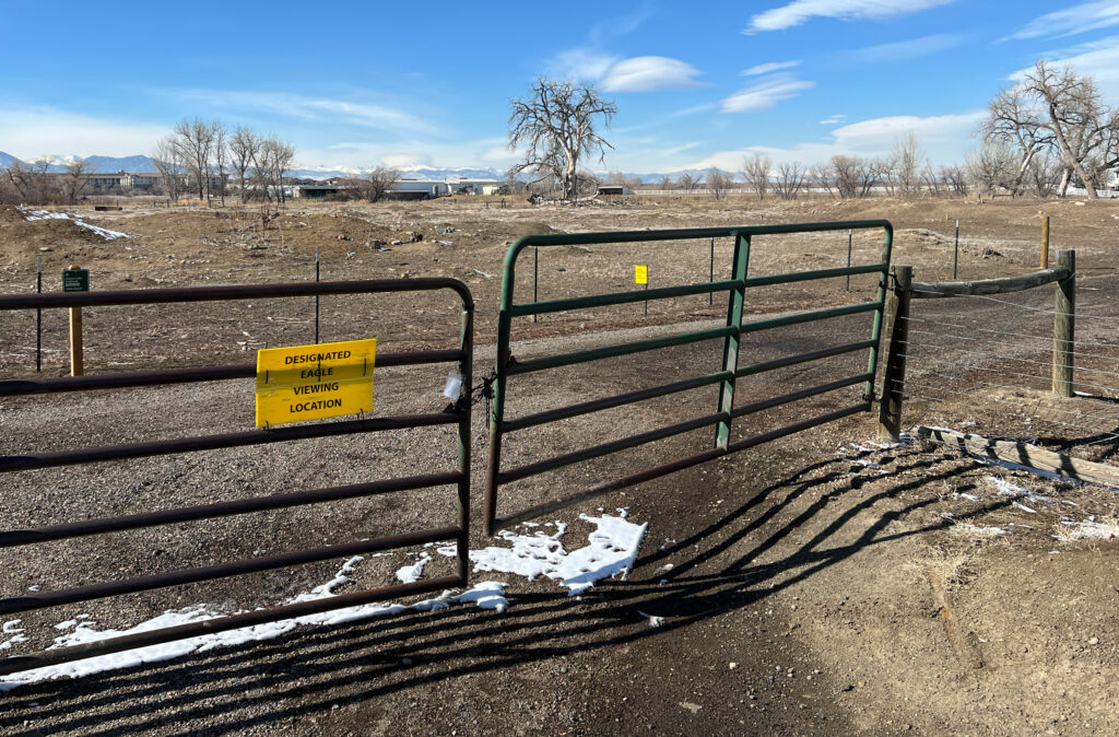 Yellow sign on a gate reads Designated Eagle Viewing Area with a tree in the background