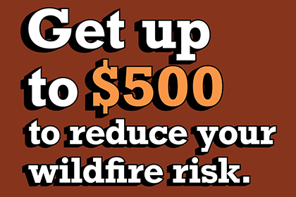 2025 Wildfire Mitigation Rebates Now Available to Boulder County Residents