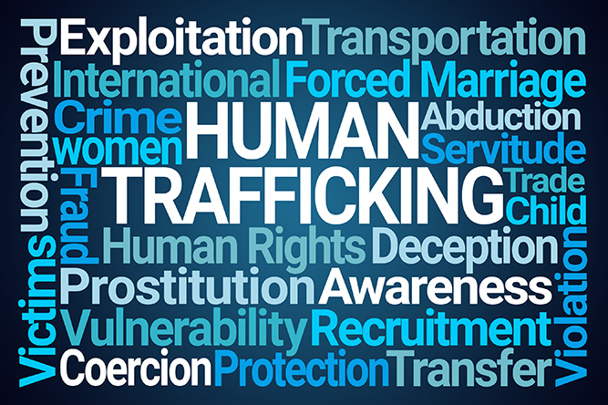 Words of Human Rights, Crime, and other offenses centering around the words Human Trafficking.