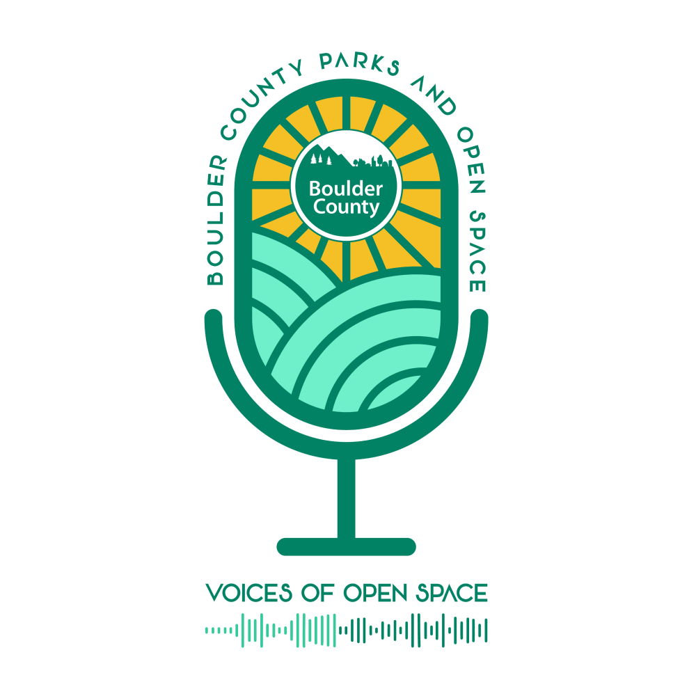 Voices of Open Space podcast logo